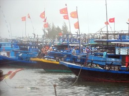 Quảng Nam còn hơn 2.590 lao động đang hoạt động trên biển 